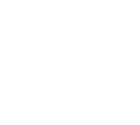 GT Independence Careers
