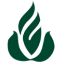 University Of Hawaii Fcu