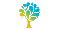 Spring Venture Group
